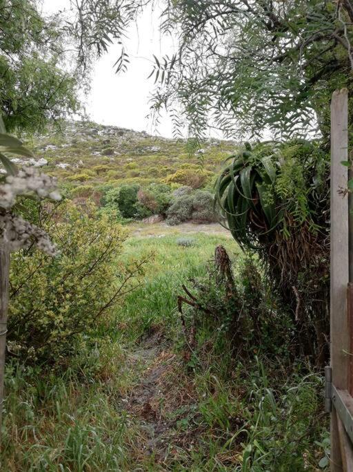 Serene Hide-Away With Ocean Views. Cape Town Exterior photo